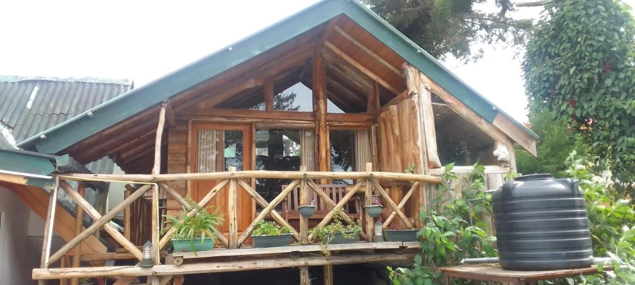 מלון נוארה אליה Eco Creations Nuwaraeliya מראה חיצוני תמונה