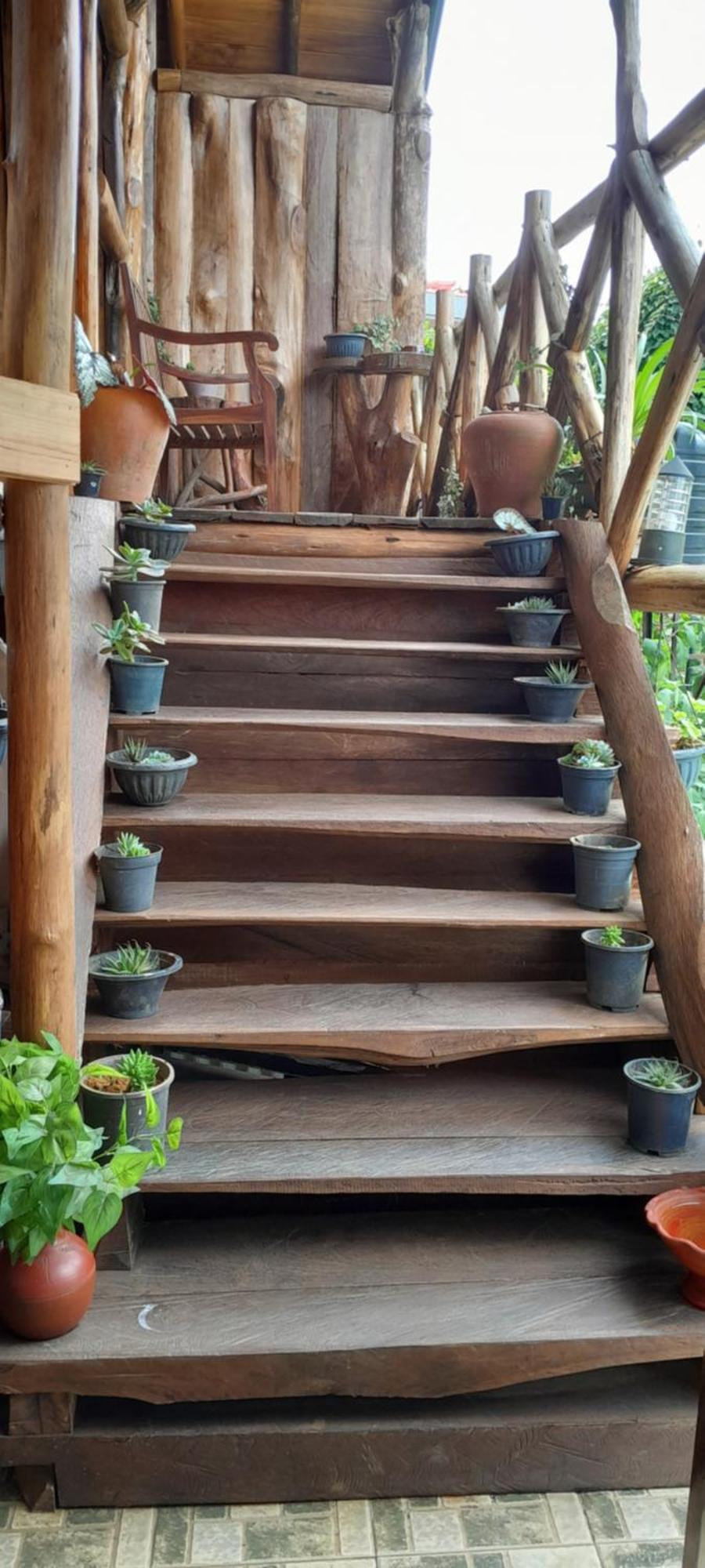 מלון נוארה אליה Eco Creations Nuwaraeliya מראה חיצוני תמונה