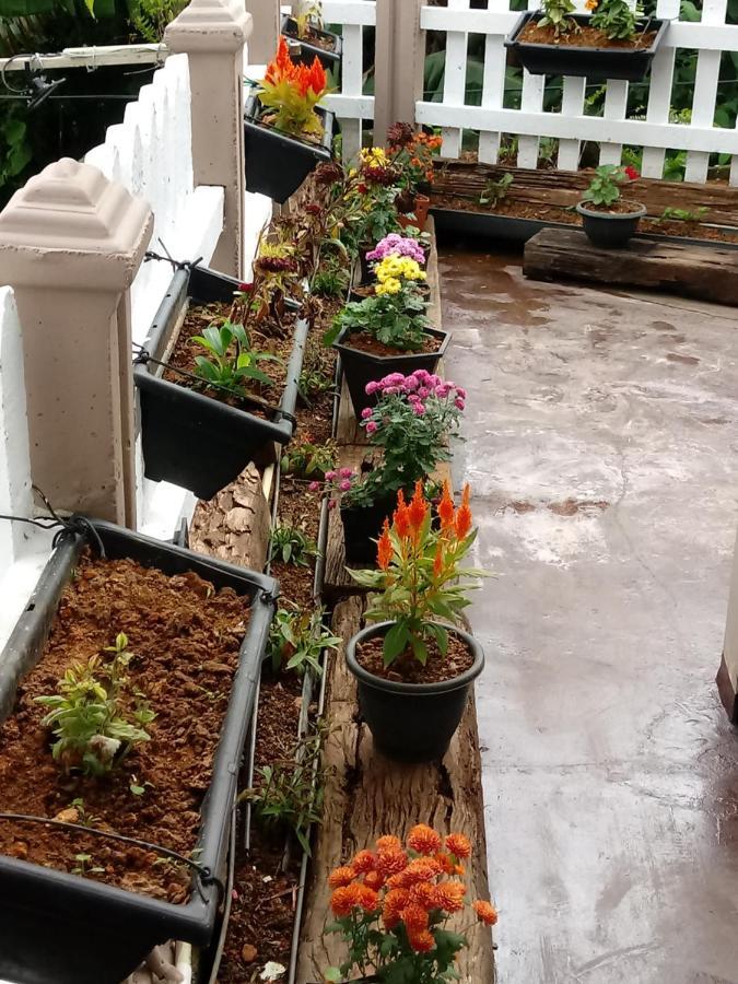מלון נוארה אליה Eco Creations Nuwaraeliya מראה חיצוני תמונה